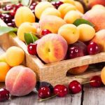 Coldiretti, “Clima instabile danneggia agricoltura, perso 1/3 di frutta Made in Italy”