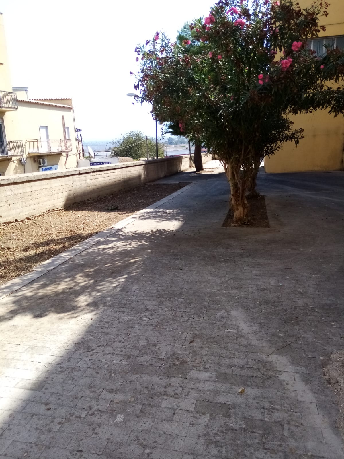 Alcamo, prosegue pulizia straordinaria delle scuole