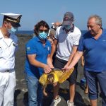 Pantelleria, torna in mare “Puck”,  la tartaruga ferita