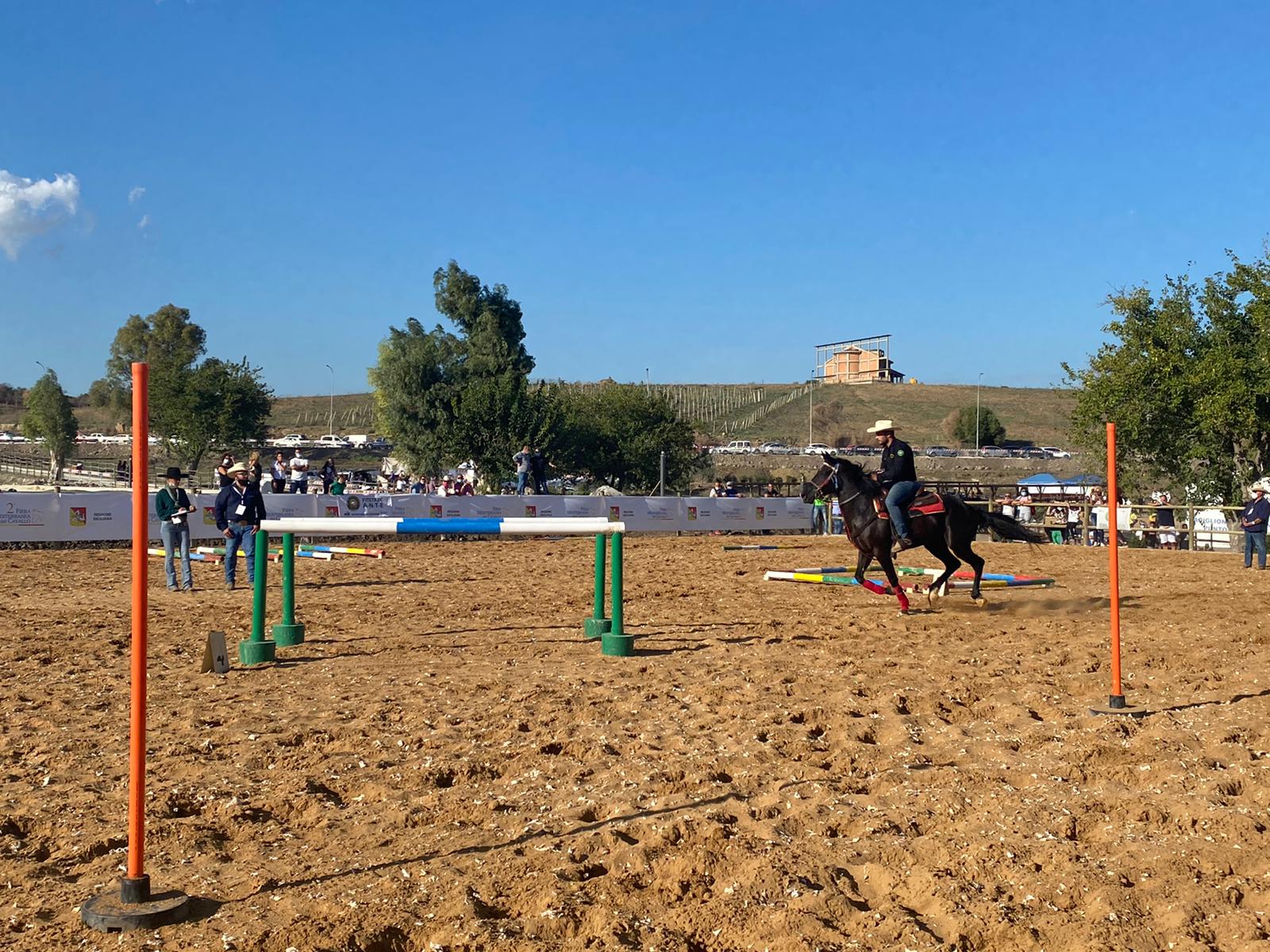 Ambelia, grande successo per la Fiera Mediterranea del Cavallo