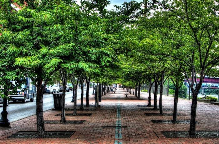 Verde pubblico, trenta milioni di euro alle Città metropolitane per gli alberi