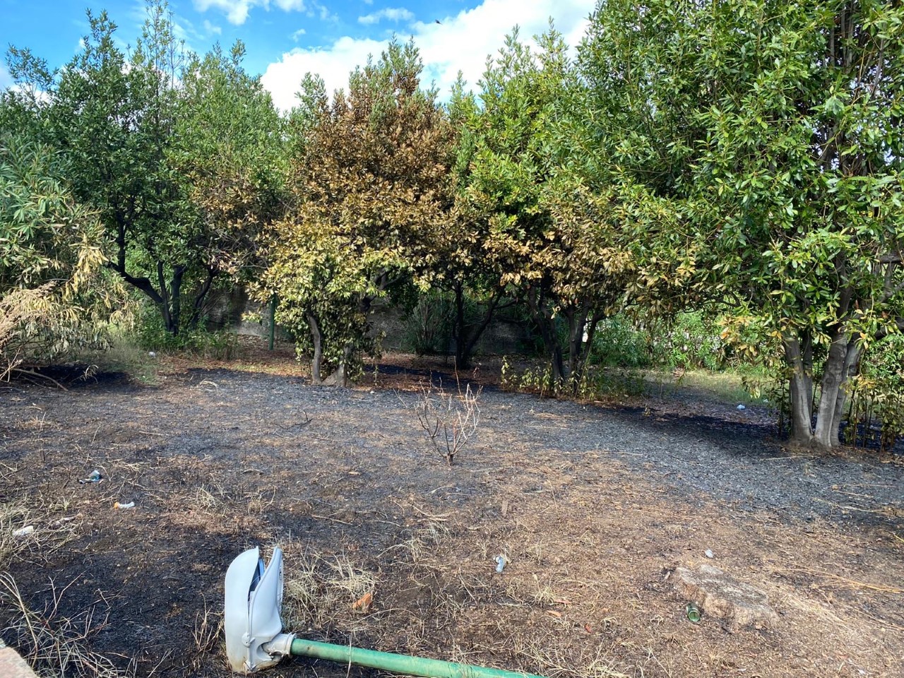 Giarre, Barbagallo (Lega) denuncia “incendi e degrado nel Parco Jungo”