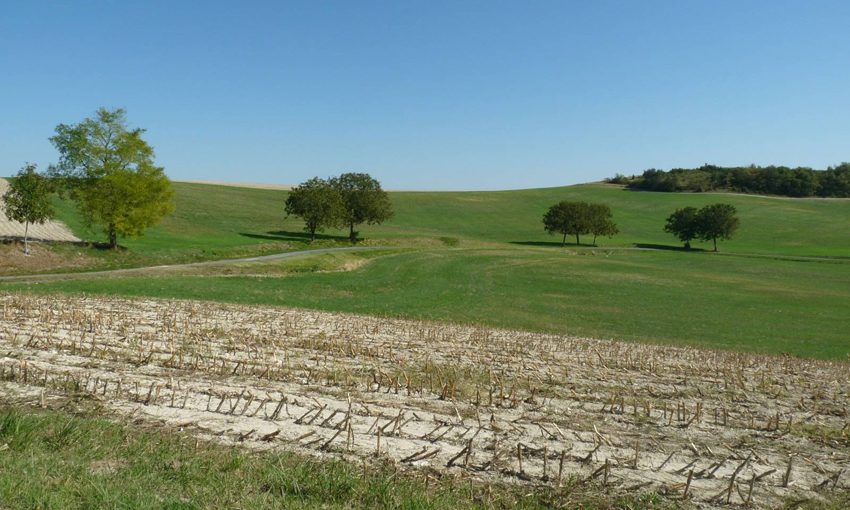 Riqualificare le vie di accesso alle campagne ragusane
