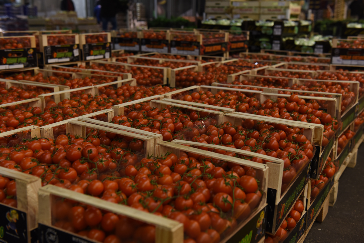 Palermo, ora il Coronavirus fa di nuovo paura