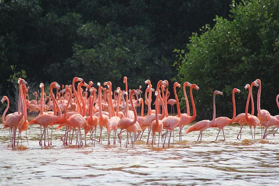 La bellezza della natura nelle Oasi della Lipu