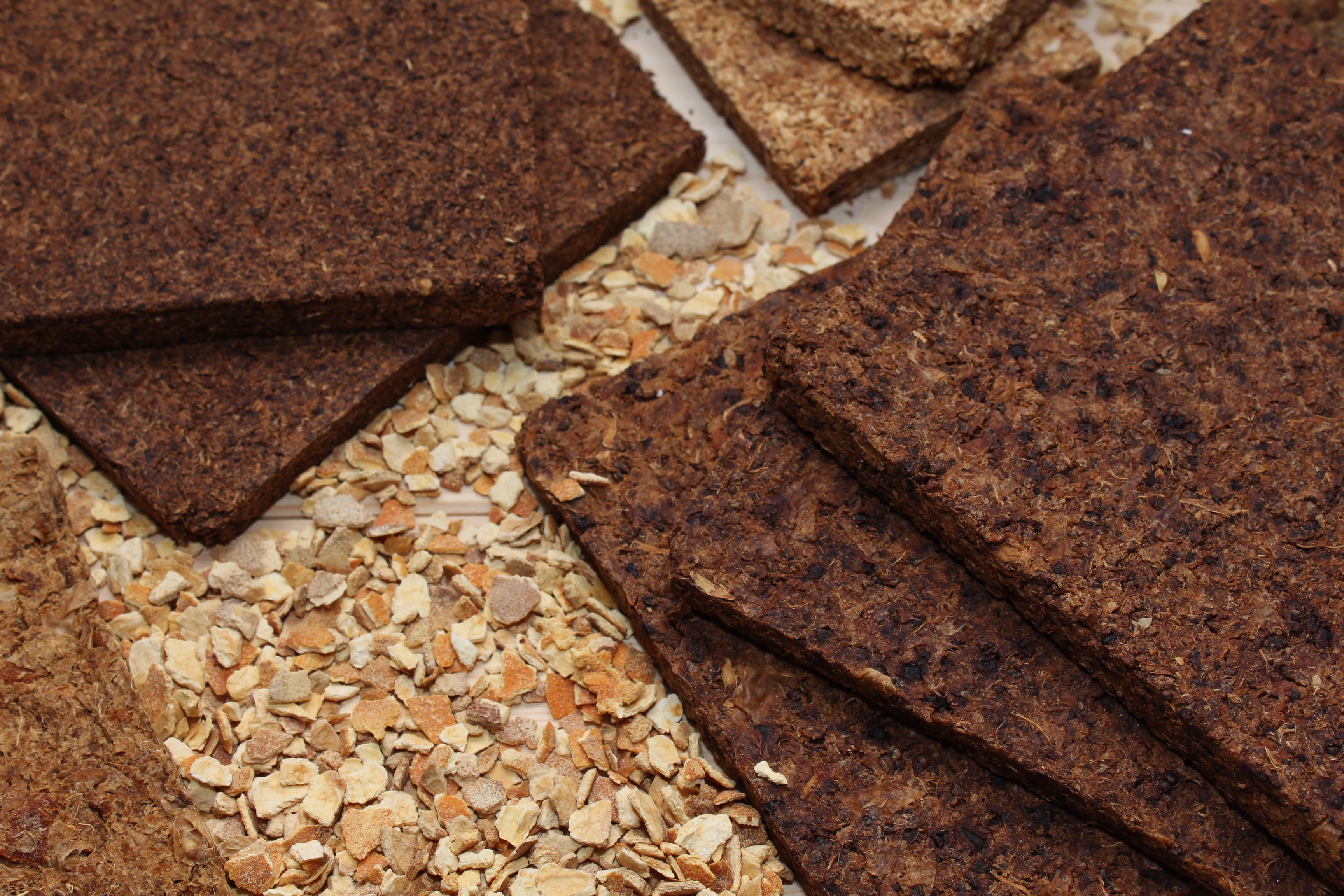 Dagli agrumi all’edilizia, l’innovativo progetto sostenibile di UniCt