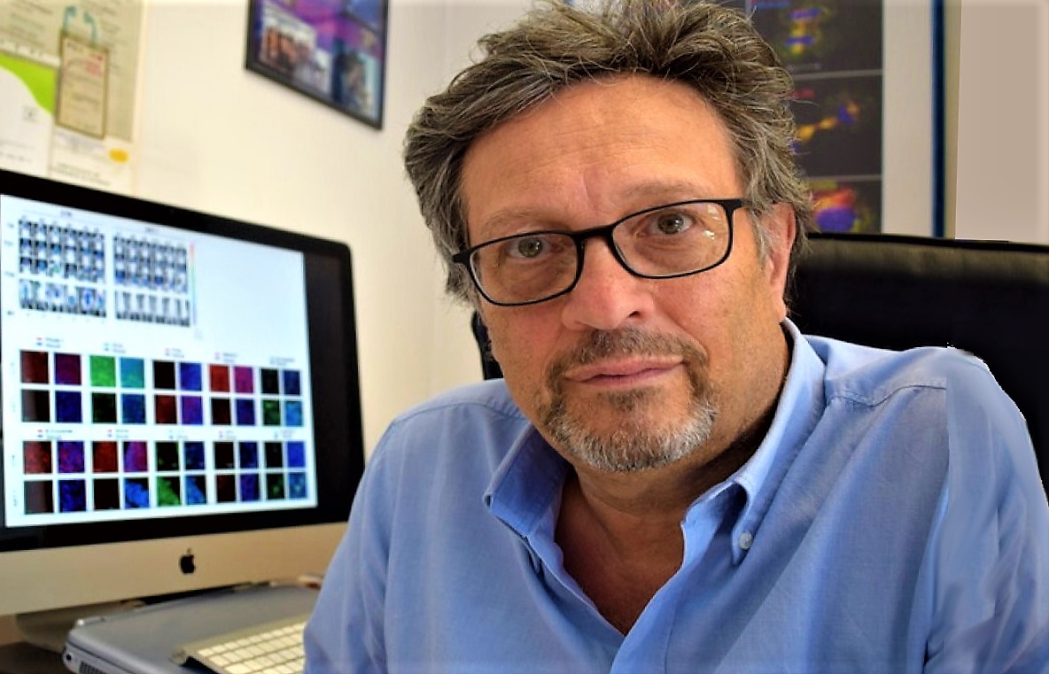 Coronavirus, identificate in Italia cinque diverse varianti