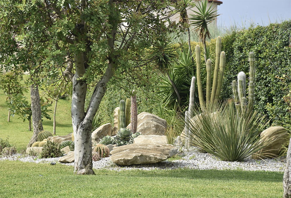 Green Tech, il verde capace di emozionare e stupire