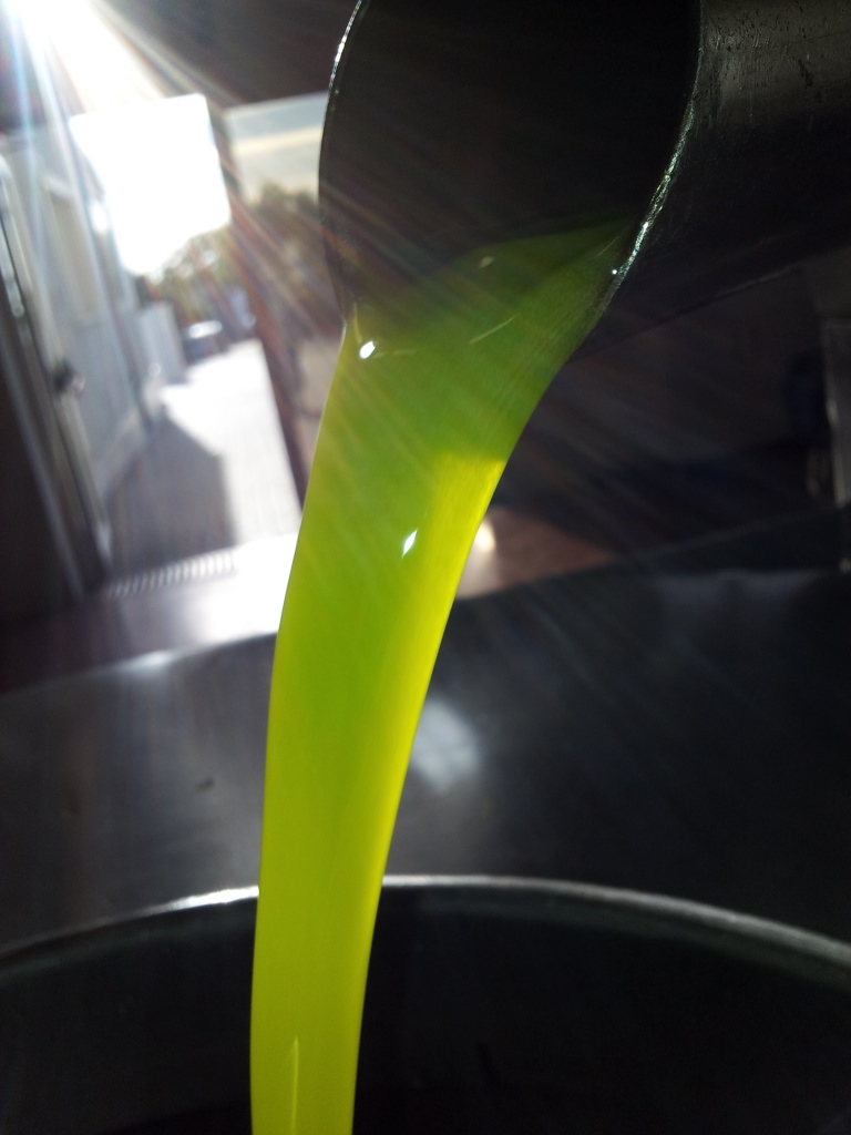 Galleria foto 'Proviene dai frantoi il colore viola che uccide i fiumi. Eppure i sottoprodotti dell’olio sono oro' - foto 8