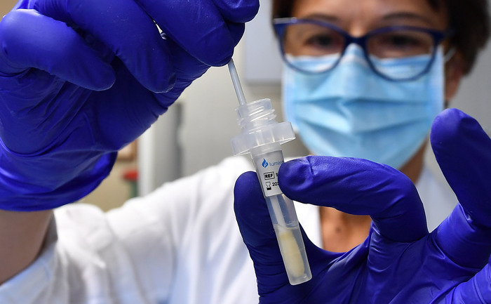 Covid, dalla ricerca italiana nuovi anticorpi contro il virus