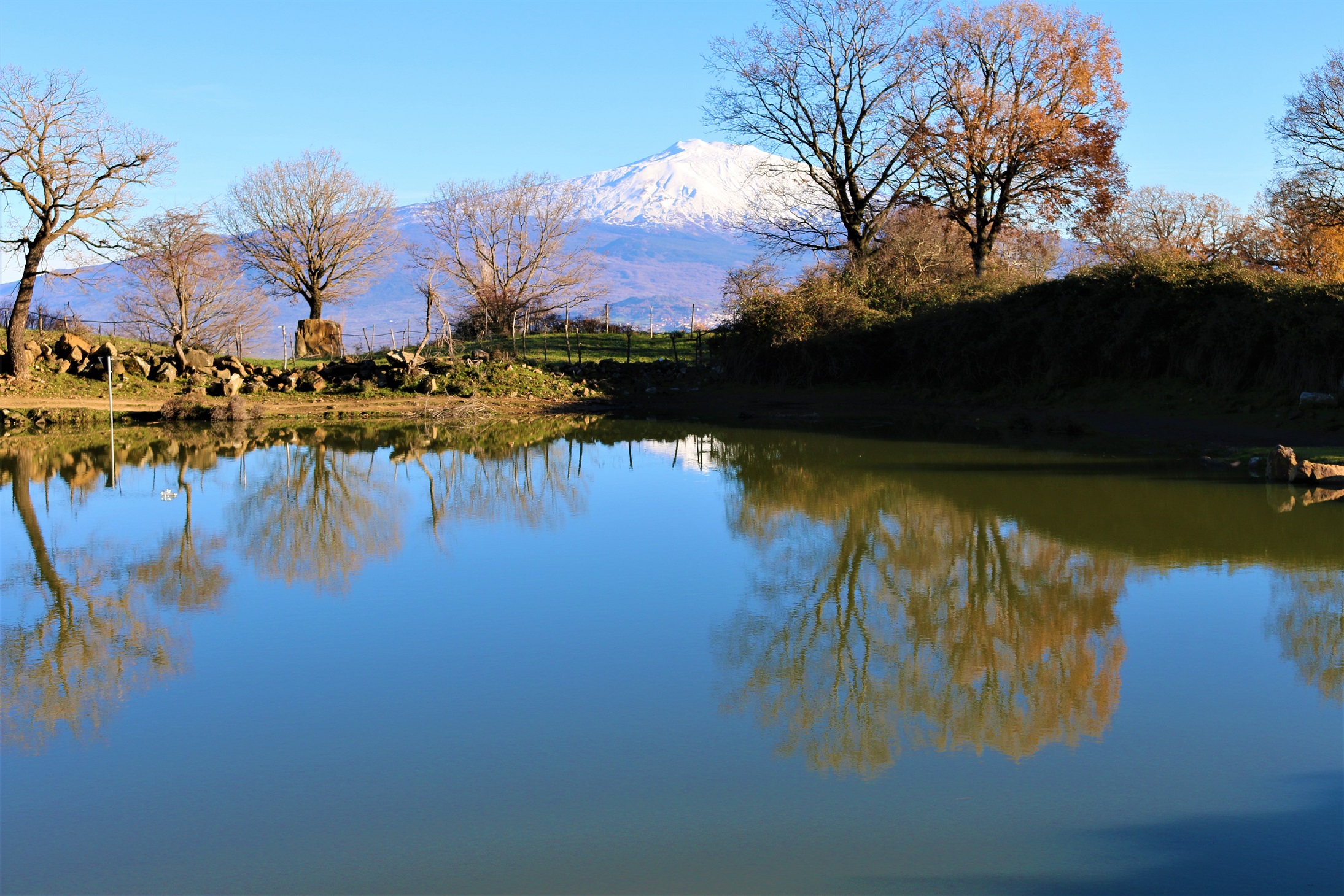 Galleria foto 'Il Monsignore a Mattarella, “ridia la dignità alla Comunità di Maniace, l’ultimo feudo d’Europa”﻿' - foto 2