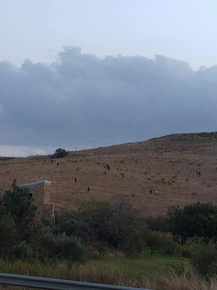 Fuga migranti da Siculiana (Ag), poliziotto ferito, solidarietà da Lamorgese
