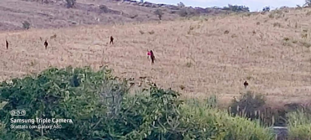 Fuga migranti da Siculiana (Ag), poliziotto ferito, solidarietà da Lamorgese