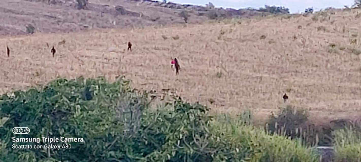 Galleria foto 'Fuga migranti da Siculiana (Ag), poliziotto ferito, solidarietà da Lamorgese' - foto 2