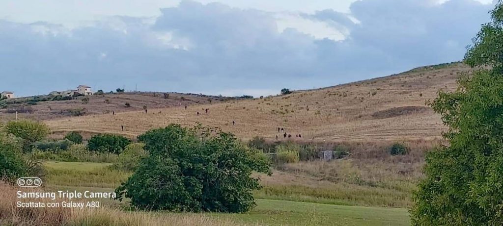 Fuga migranti da Siculiana (Ag), poliziotto ferito, solidarietà da Lamorgese