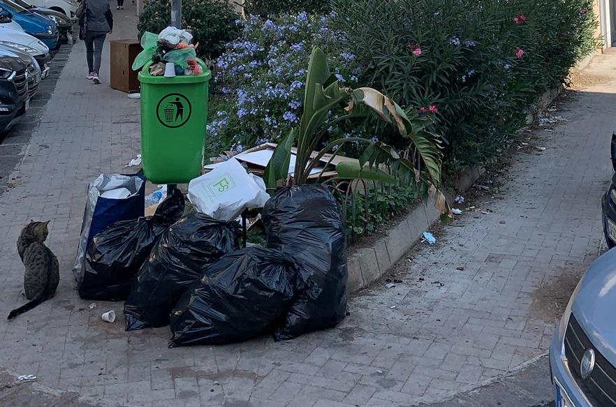 Una crescita incontrollata di verde e… spazzatura