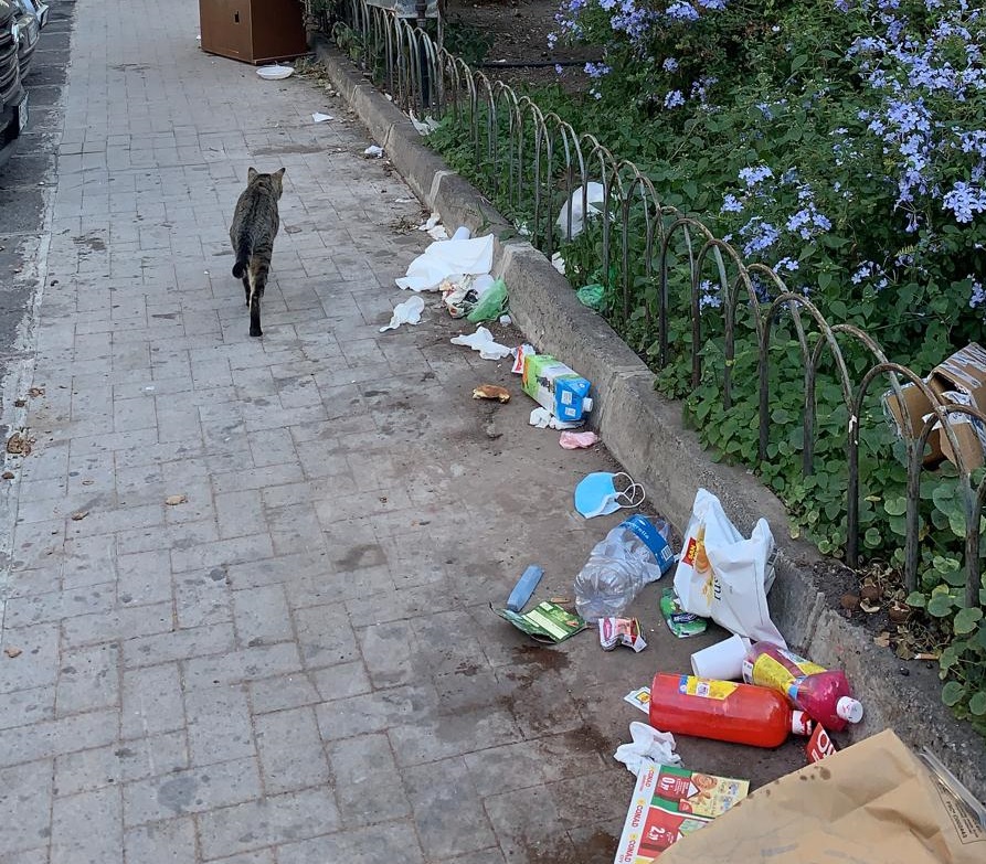 Una crescita incontrollata di verde e… spazzatura