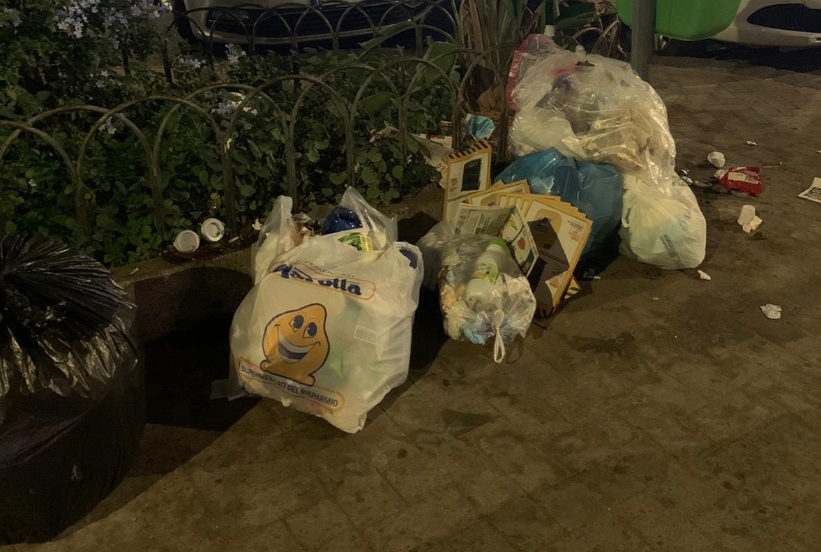 Galleria foto 'Una crescita incontrollata di verde e… spazzatura' - foto 2