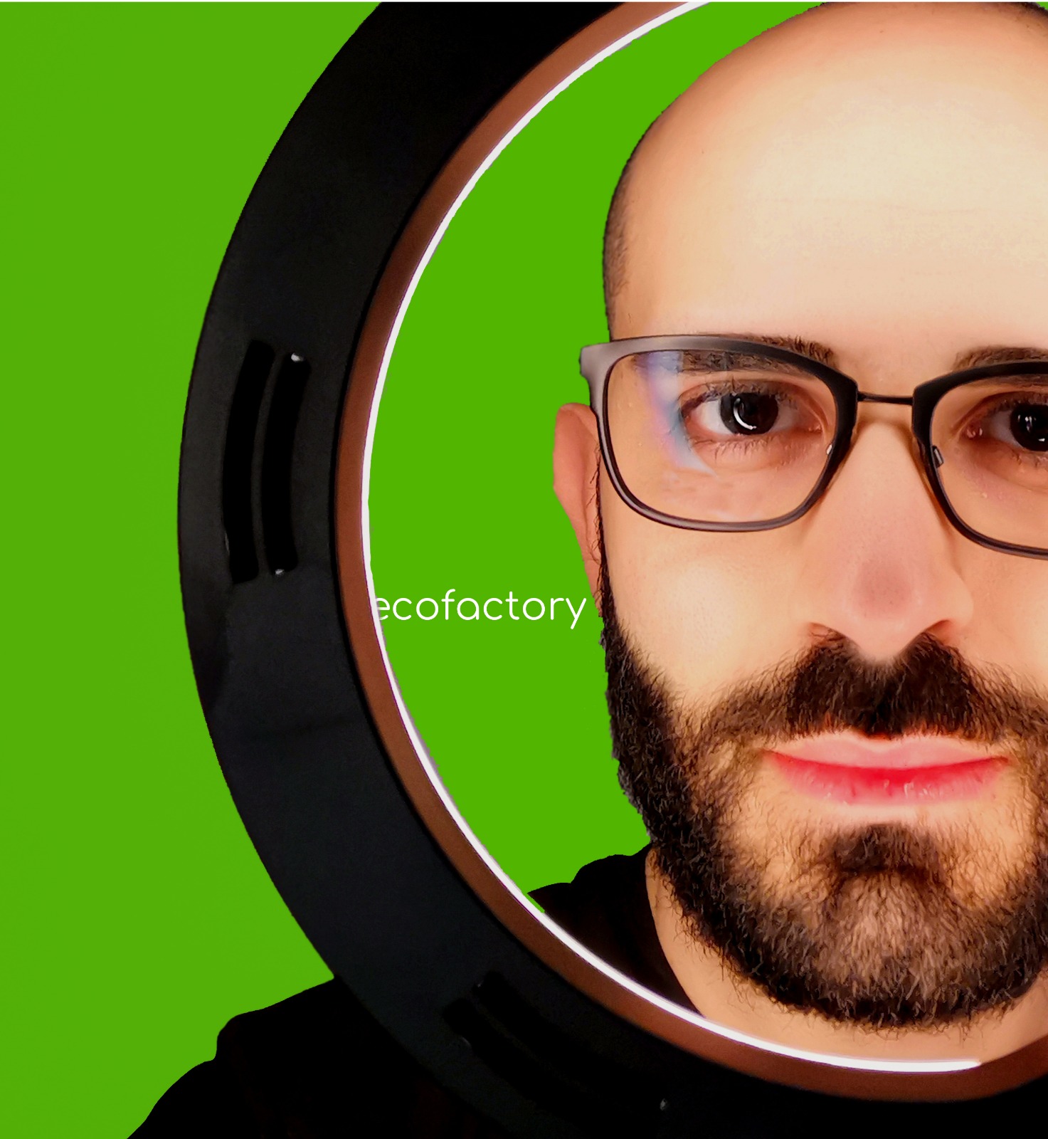 Piantare alberi con un click, dall’Isola parte la sfida contro la deforestazione