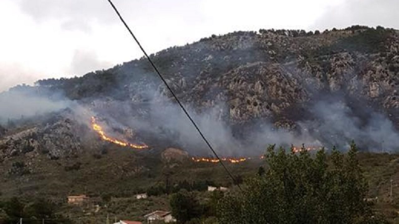 Incendi, a agosto bruciati quattromila ettari di bosco in Sicilia Incendi, a agosto bruciati quattromila ettari di bosco in Sicilia