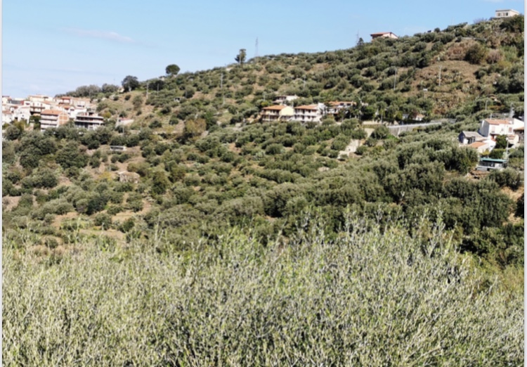 A Brolo (Me) interventi per la frazione di Iannello