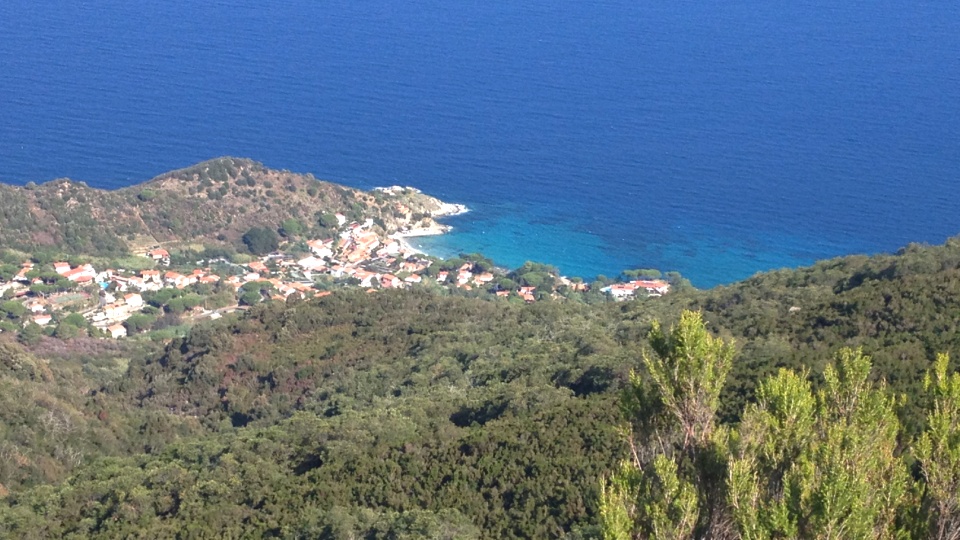 Festa regionale della Macchia mediterranea, appuntamento il 21 novembre in modalità digitale