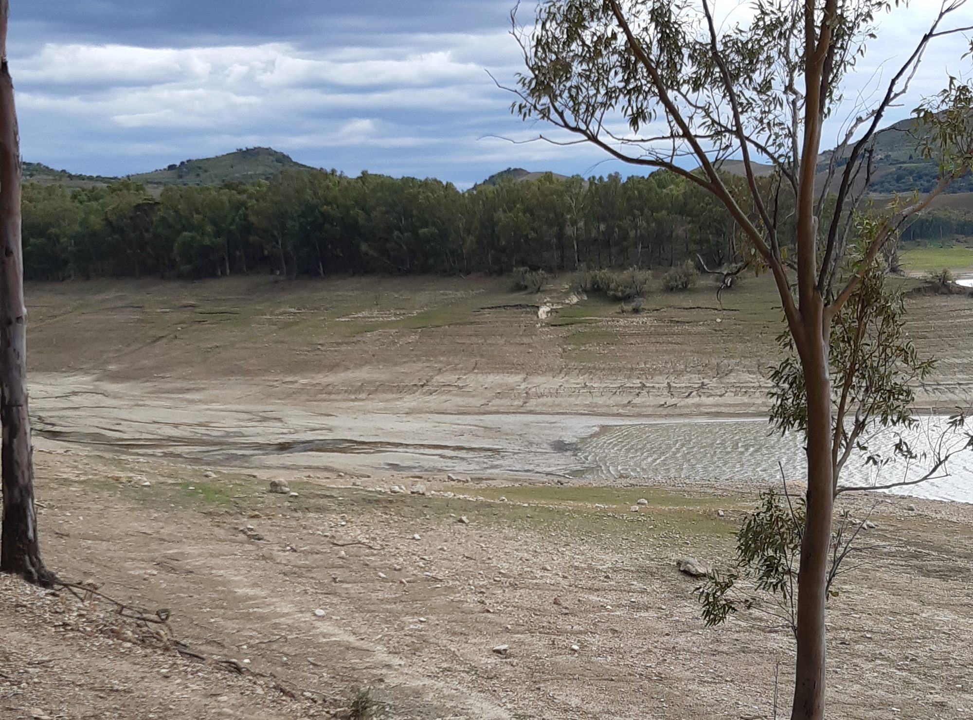 Siccità, la Sicilia vicina a un “lockdown irriguo”. Puntare sul riciclo idrico o sarà desertificazione
