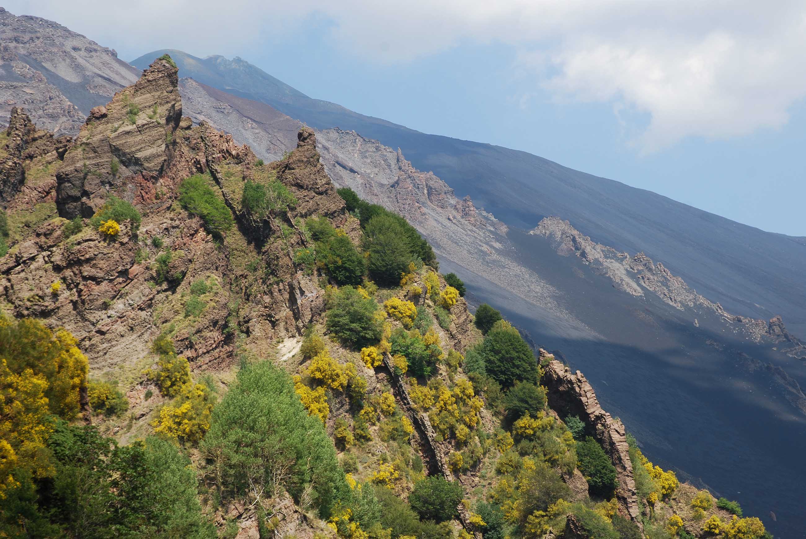 Biodiversità, 29 specie floristiche si trovano soltanto sull’Etna