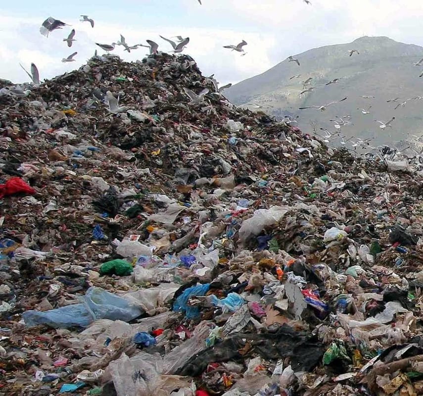 Discariche siciliane, il M5s propone il reato di molestie olfattive