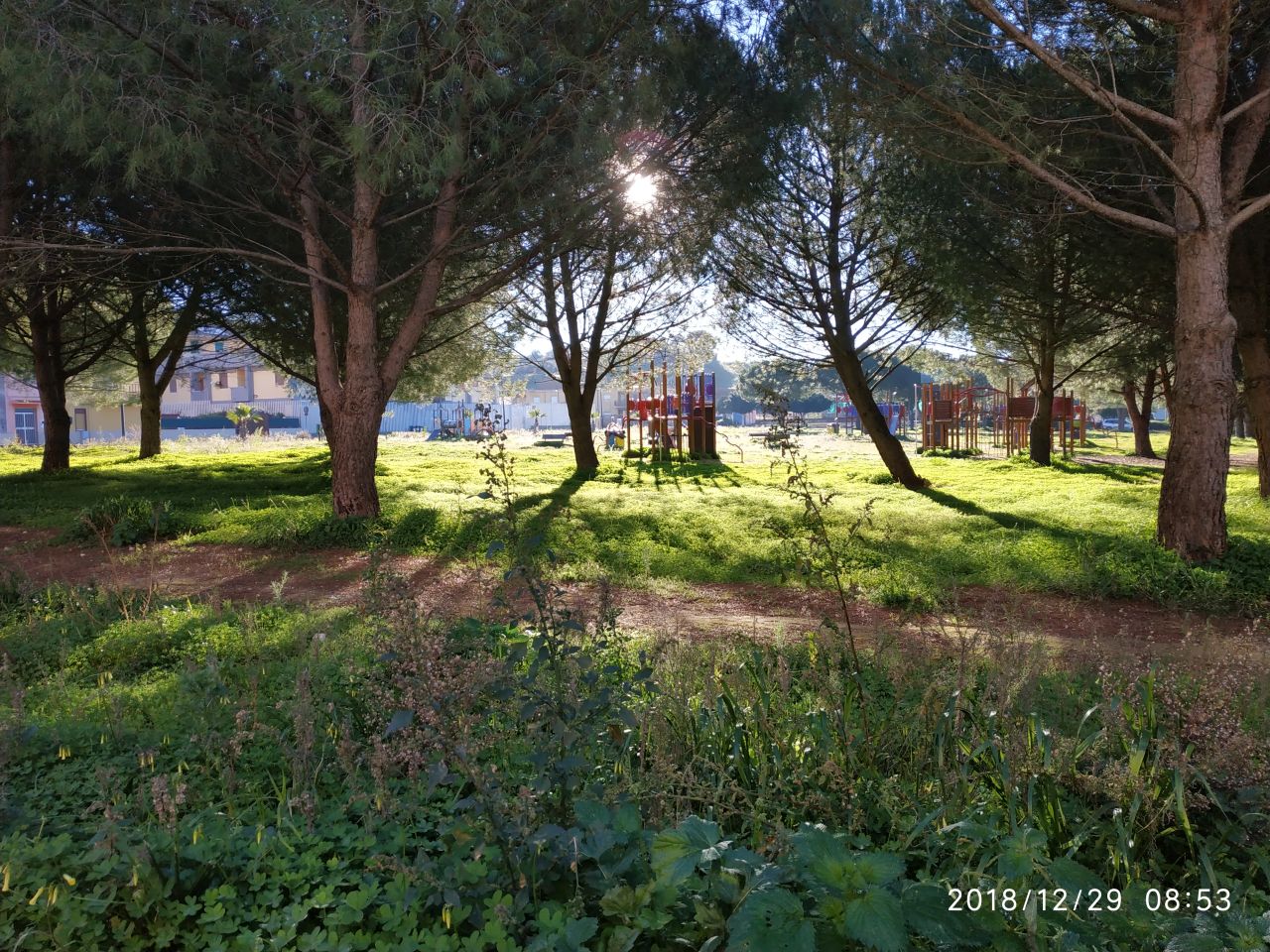 A Delia un nuovo parco giochi inclusivo A Delia un nuovo parco giochi inclusivo