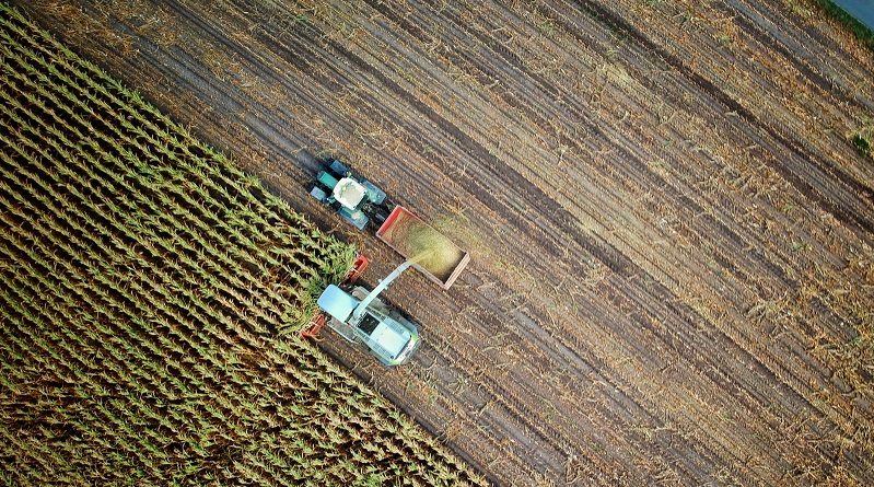 Agrigento, il riscatto passa da riscoperta del passato