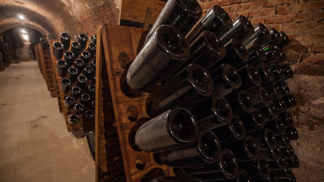 Viticoltura, in Sicilia imbottigliato l’undici per cento in meno di vino