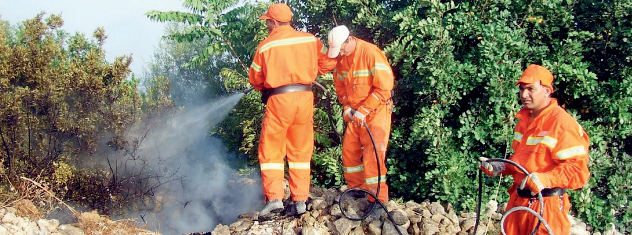 Ritenute su buste paga forestali, ira sindacati contro la Regione Ritenute su buste paga forestali, ira sindacati contro la Regione