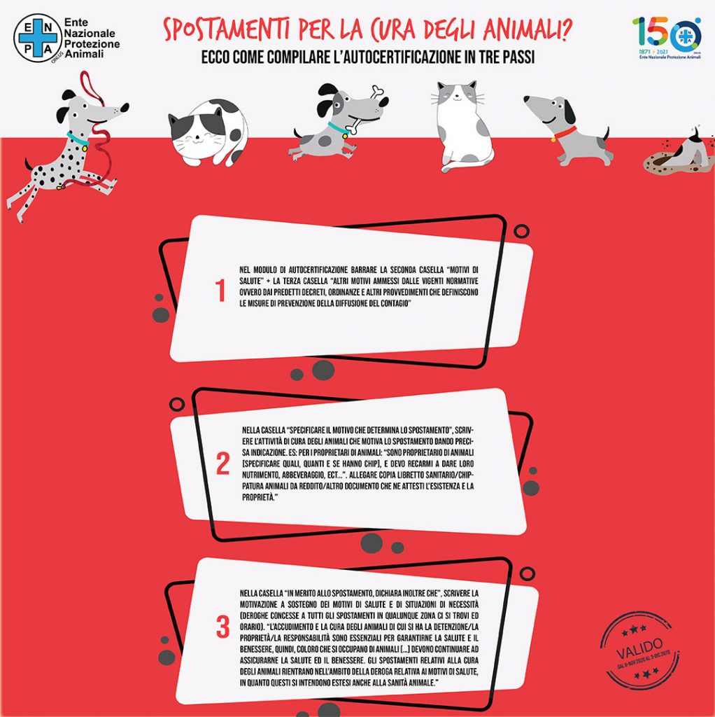 Dpcm, si può uscire col cane? Come compilare la certificazione? Enpa risponde