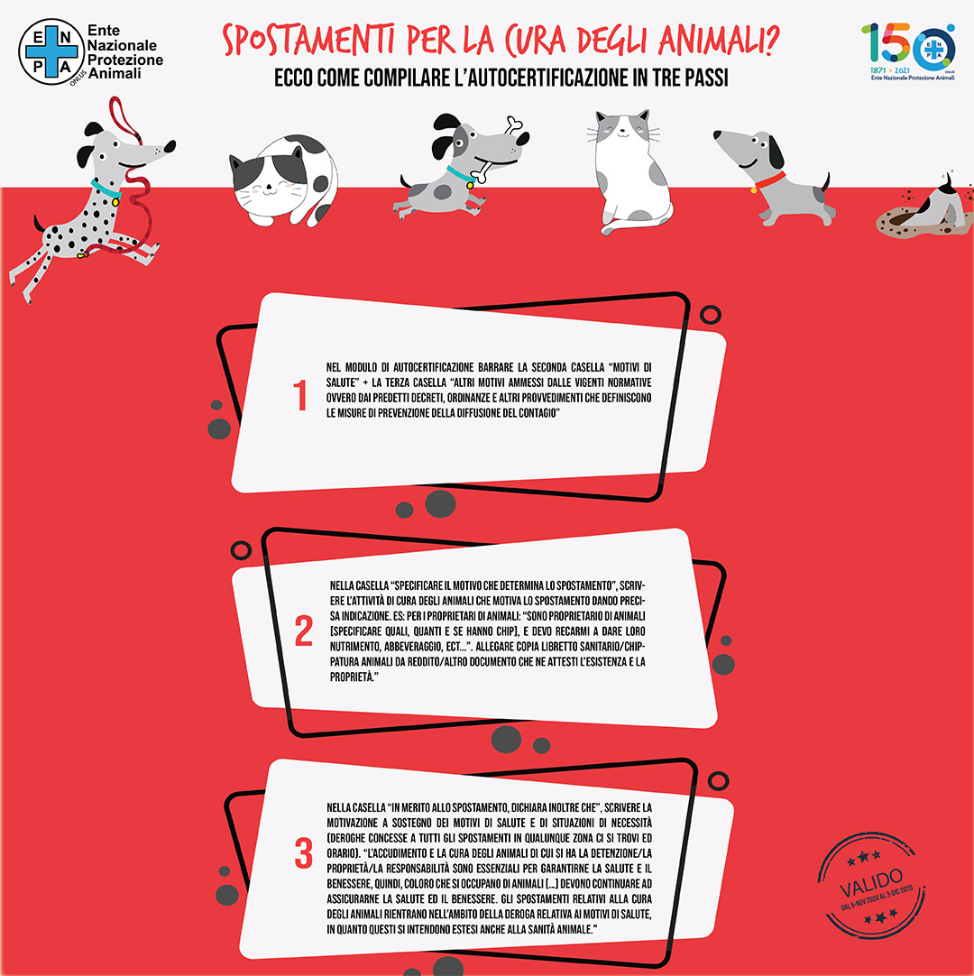 Galleria foto 'Dpcm, si può uscire col cane? Come compilare la certificazione? Enpa risponde' - foto 1