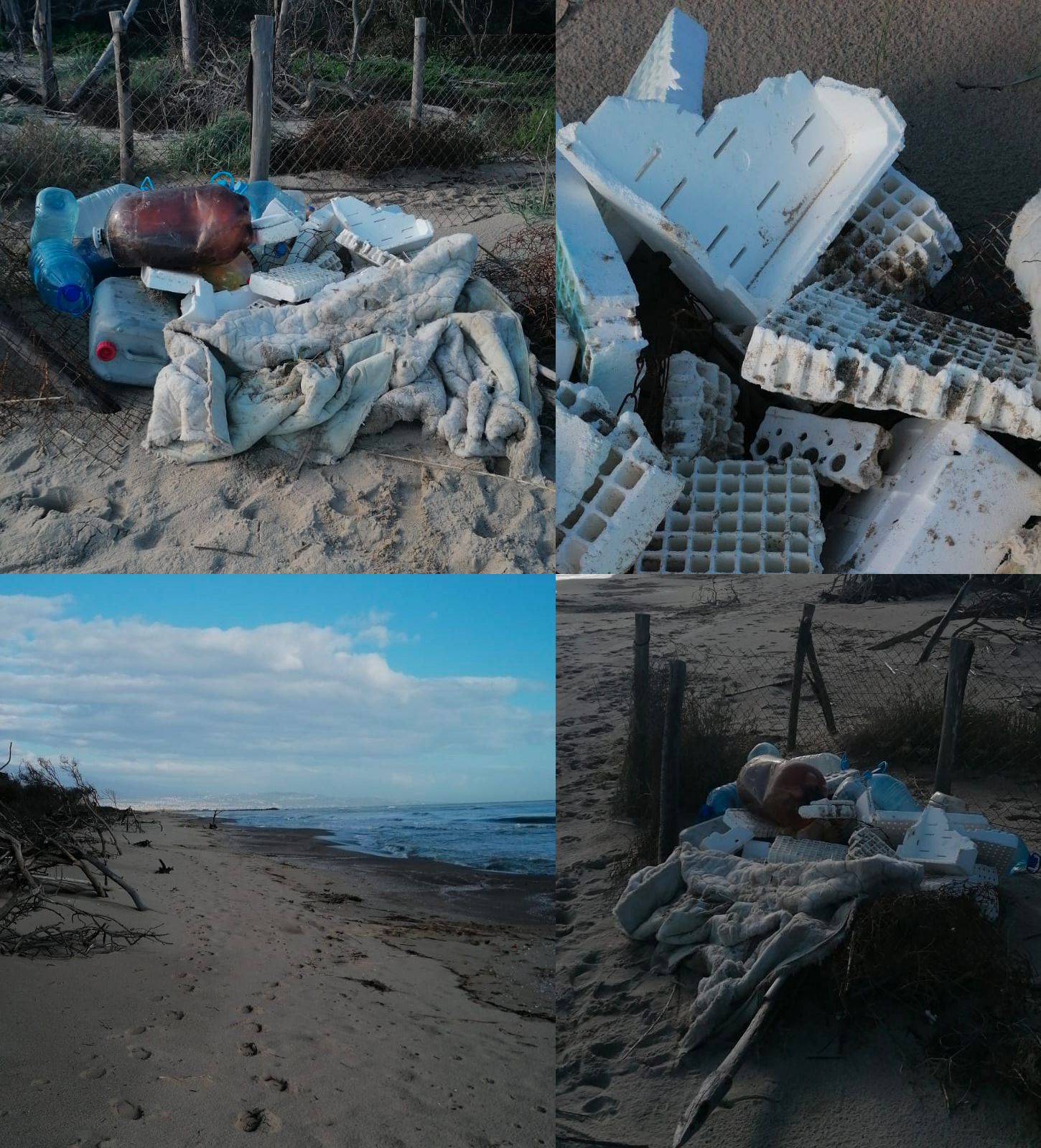 Plastica nell’Oasi del Simeto