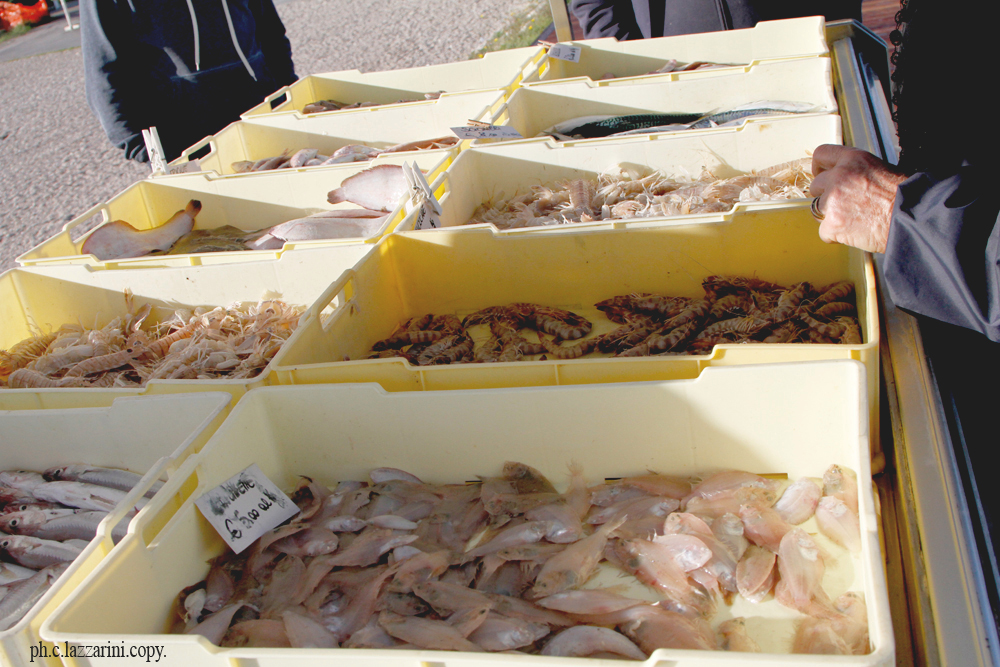 Da Regione Sicilia 15 milioni al settore della pesca Da Regione Sicilia 15 milioni al settore della pesca