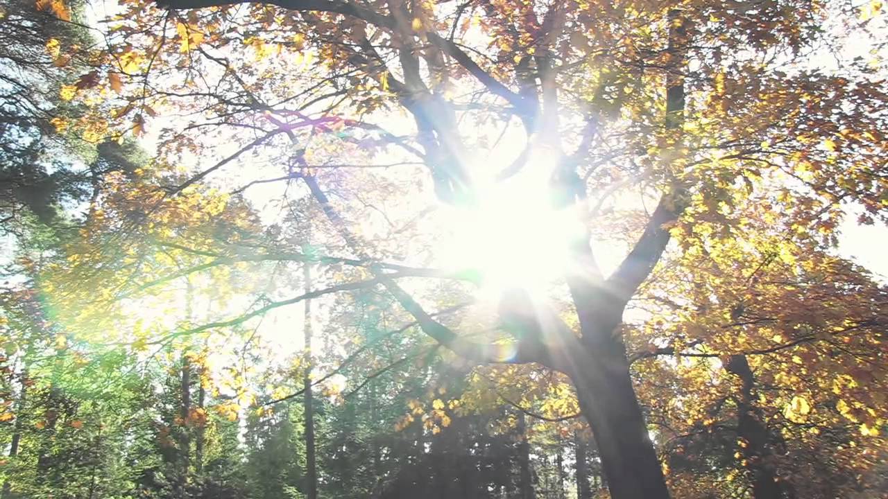 Caltanissetta, nuova vita al parco urbano Balate