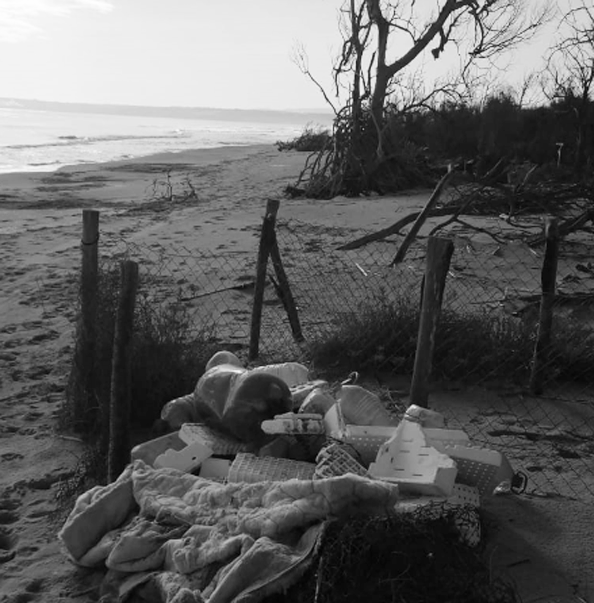 Oasi del Simeto, riserva trasformata in una discarica