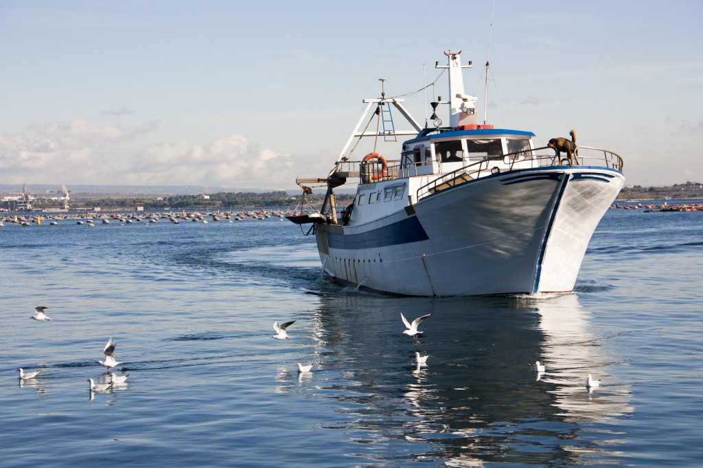 Pesca e commercio in alto mare, operazioni non imponibili ai fini Iva