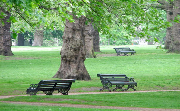 Siracusa, più trasparenza nella gestione del verde