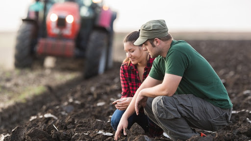 Impresa, nuove risorse per giovani agricoltori