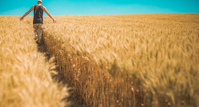 Agricoltura, nel 2020 sono aumentate le imprese guidate dagli under 35