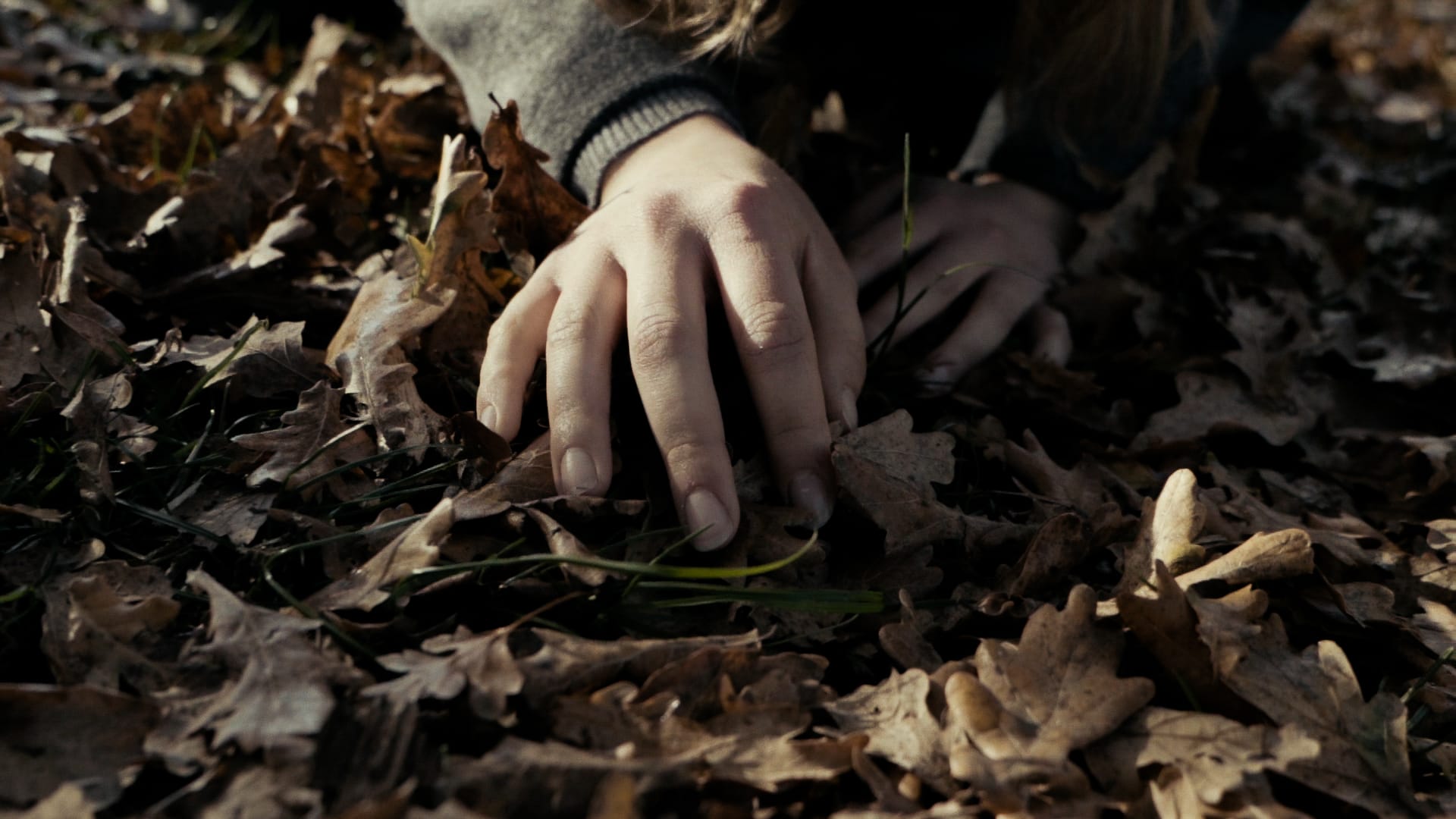 L’inizio del nuovo anno è nel segno della danza di E.sperimenti