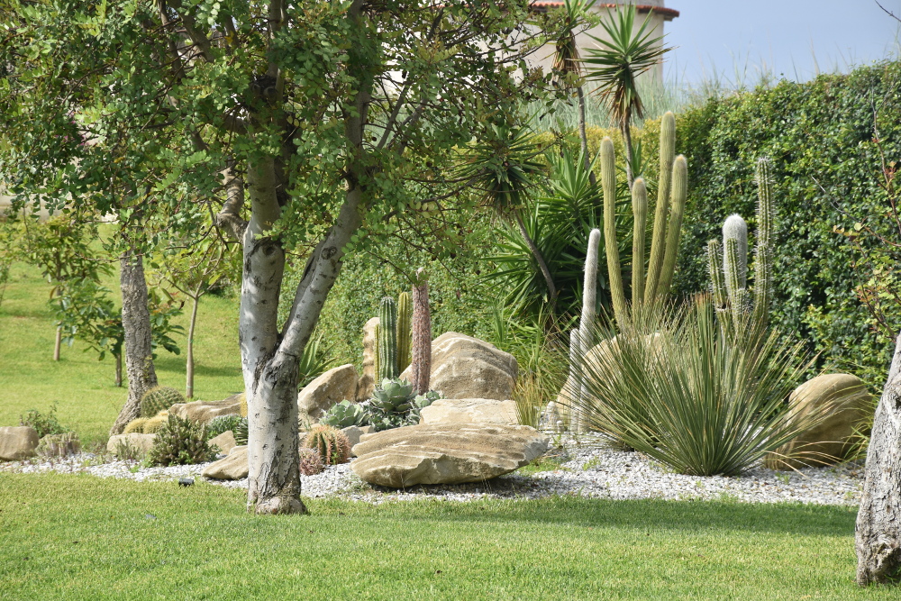 Green Tech si presenta l’azienda verde capace di emozionare e stupire