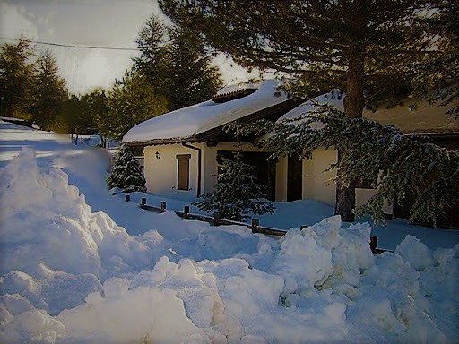 Coronavirus, sul web ora è caccia ai veglioni clandestini