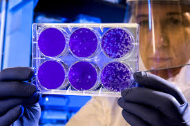 Coronavirus, in Sicilia 894 positivi e 22 morti nelle ultime 24 ore