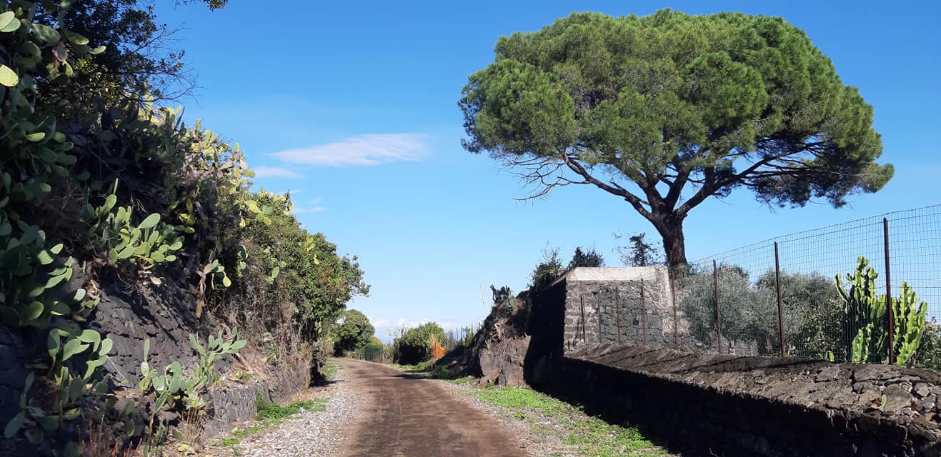 Aci green way, la pista ciclabile “gioiello” che nessuno vuol gestire