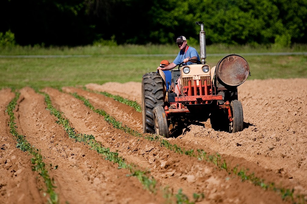 Ristoranti e bar chiusi, danni anche per il settore agricolo