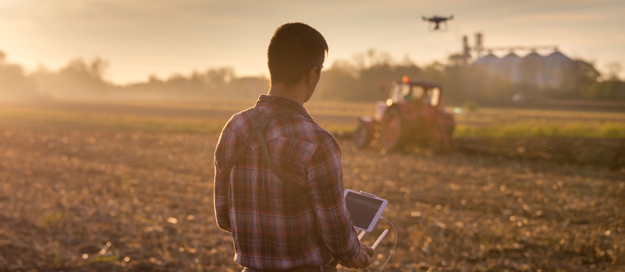 Agricoltura sostenibile, nemmeno un sito  siciliano nel programma Giahs della Fao